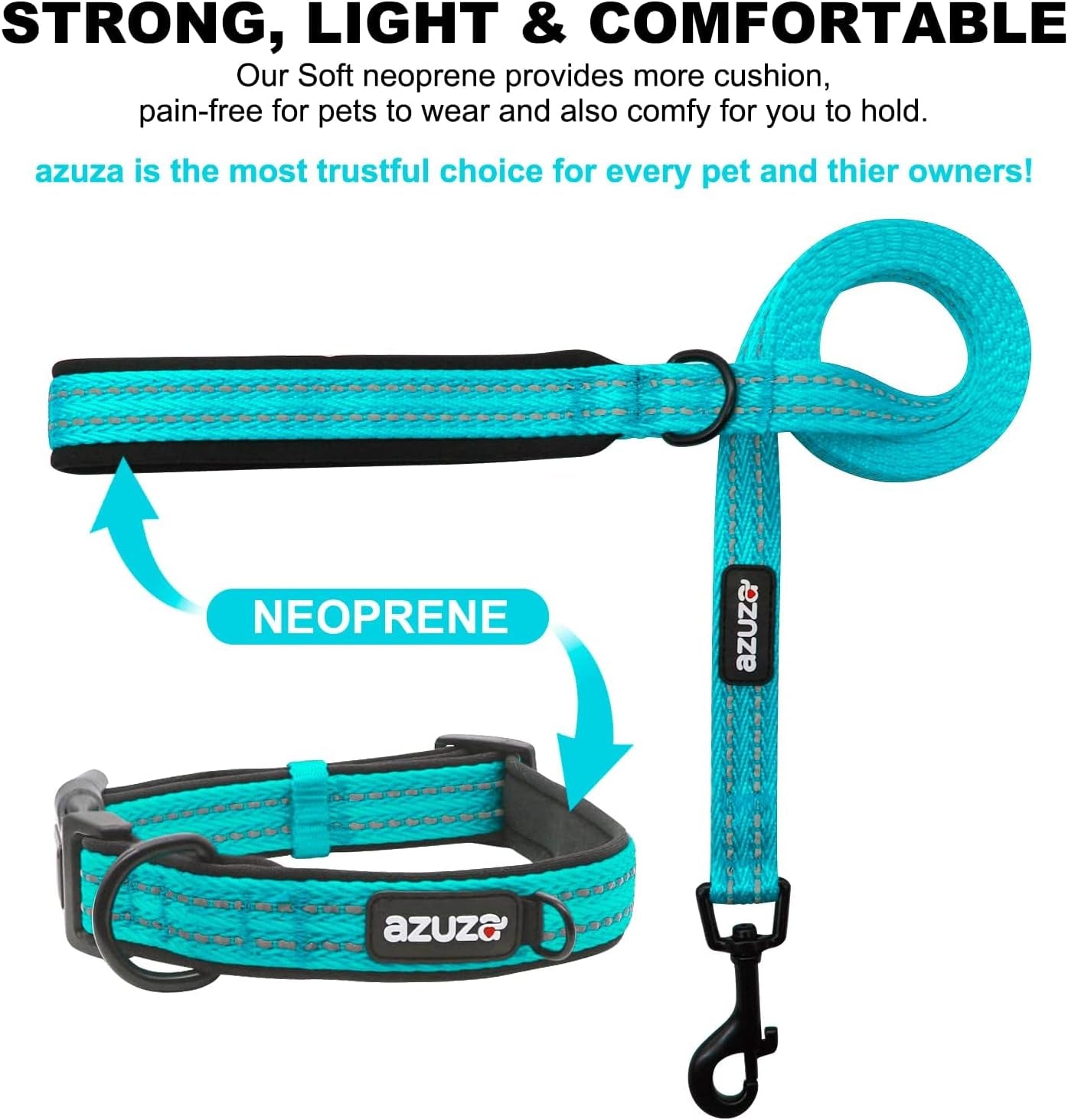 Durable Padded Dog Leash and Collar Set, with Airtag Holder and Reflective Strip, Extra Safe and Comfy for Small Dogs,Blue