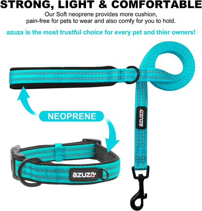 Durable Padded Dog Leash and Collar Set, with Airtag Holder and Reflective Strip, Extra Safe and Comfy for Small Dogs,Blue